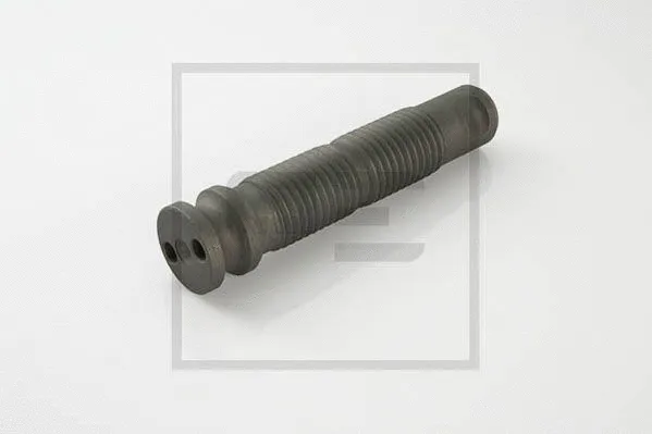 Axe de ressort PE Automotive 144.060-00A