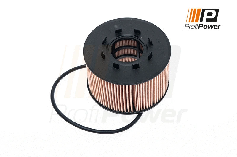 Filtre à huile ProfiPower 1F0046