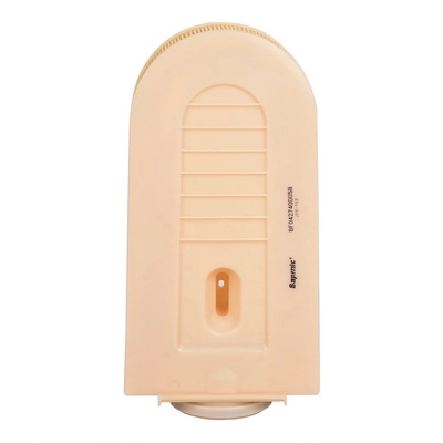 Filtre à air BAPMIC BF0427400058