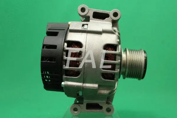 Alternateur FAL Anlasser- und Lichtmaschinenservice F000516/2