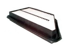Filtre à air ACDelco Oceania ACA301