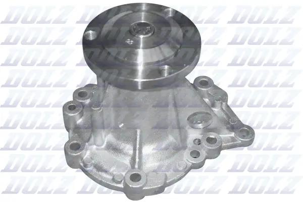 Pompe à eau, refroidissement du moteur DOLZ R210