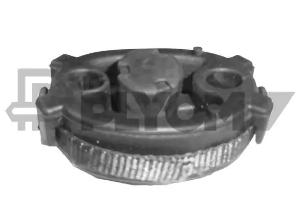 Butée élastique, silencieux PLYOM P756604