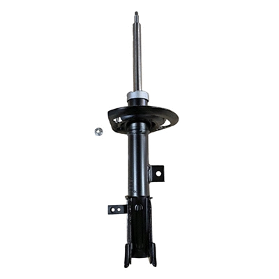 Amortisseur GOOM F210G1603