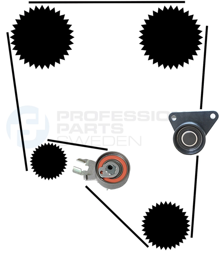 Kit de courroie crantée Professional Parts 21430028