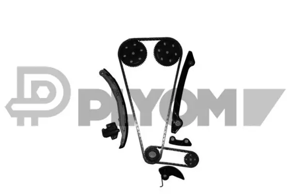 Kit de distribution par chaîne PLYOM P752079
