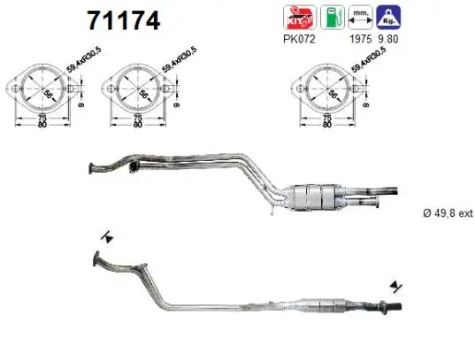 Catalyseur AS 71174