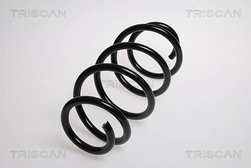Ressort de suspension TRISCAN 8750 16050
