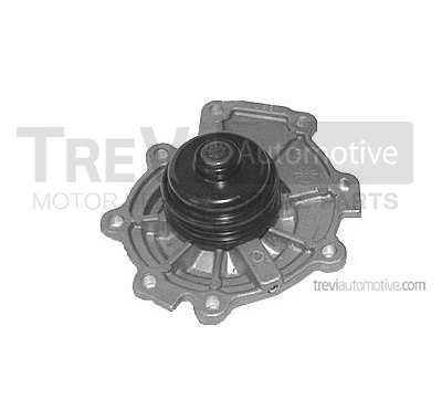 Pompe à eau, refroidissement du moteur TREVI AUTOMOTIVE TP1074