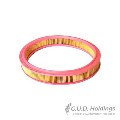 Filtre à air GUD AG825