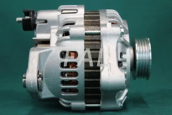 Alternateur FAL Anlasser- und Lichtmaschinenservice F011929/1