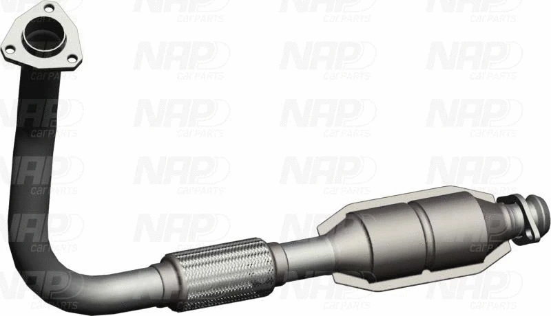 Catalyseur NAP carPARTS GmbH CAK10842