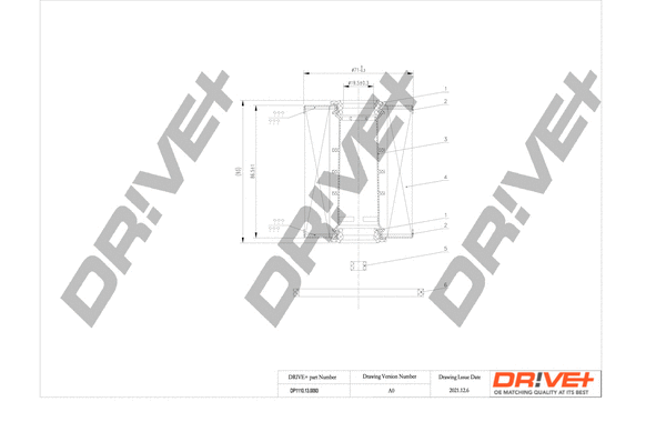 Filtre à carburant Dr!ve+ DP1110.13.0093