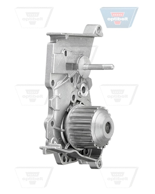 Pompe à eau, refroidissement du moteur OPTIBELT WP 1007