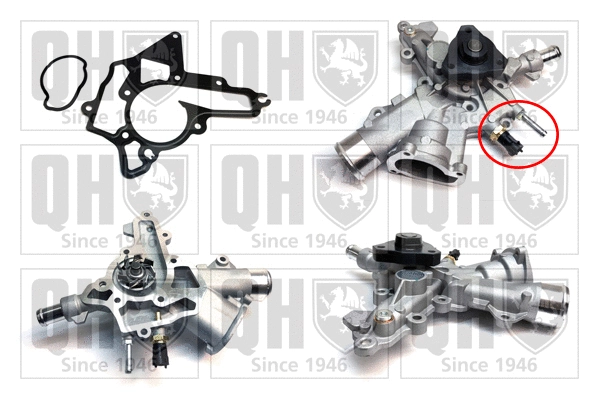 Pompe à eau, refroidissement du moteur QUINTON HAZELL QCP3590BH