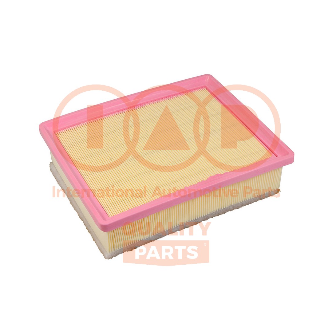Filtre à air IAP QUALITY PARTS 121-13220