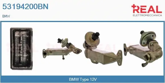 Module-EGR REAL 53194200BN