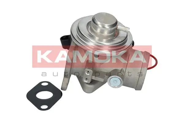 Vanne EGR KAMOKA 19025