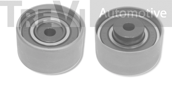 Poulie renvoi/transmission, courroie crantée TREVI AUTOMOTIVE TD1145