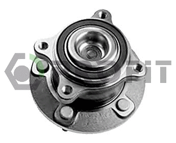 Kit de roulements de roue PROFIT 2501-7493