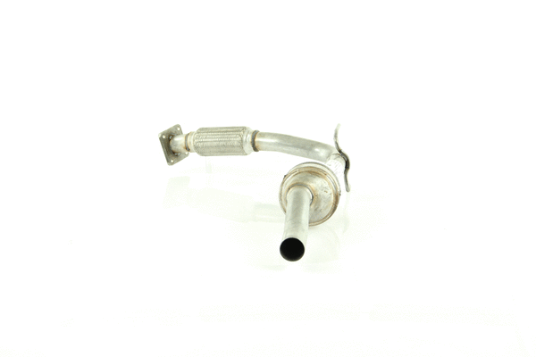 Catalyseur WALKER 20471