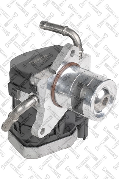 Vanne EGR STELLOX 01-25135-SX