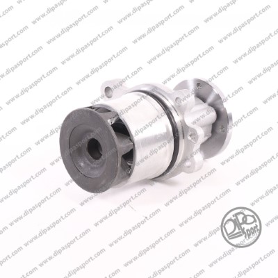 Pompe à eau, refroidissement du moteur DIPASPORT PAA114VLON