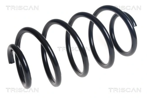 Ressort de suspension TRISCAN 8750 16191