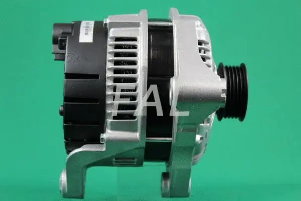 Alternateur FAL Anlasser- und Lichtmaschinenservice F000499/2