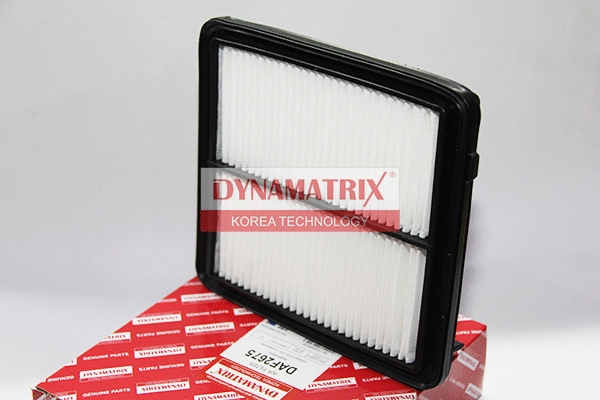 Filtre à air DYNAMATRIX DAF2675
