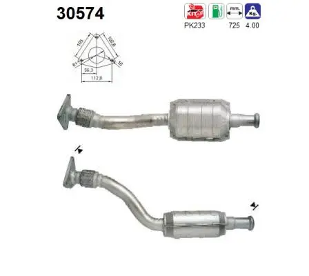 Catalyseur AS 30574