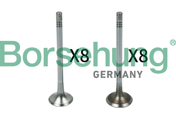 Soupape d'admission Borsehung B18142