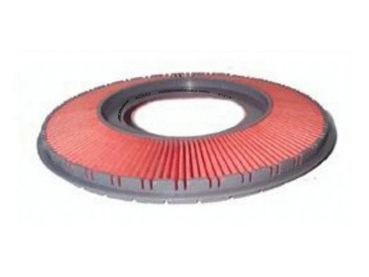Filtre à air ACDelco Oceania ACA42