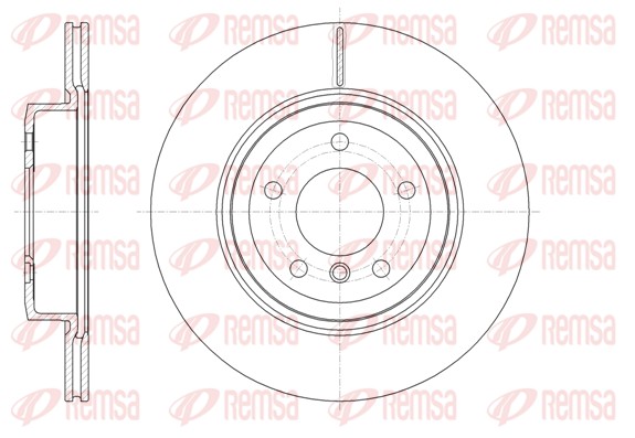 Disque de frein REMSA 61631.10