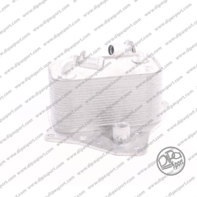 Radiateur d'huile DIPASPORT RAO168DPSN