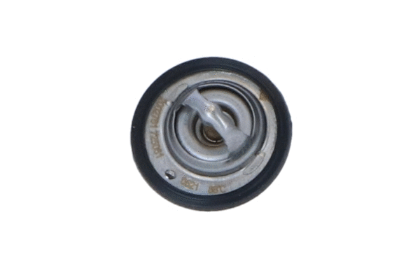 Thermostat, liquide de refroidissement WILMINK GROUP WG2184683