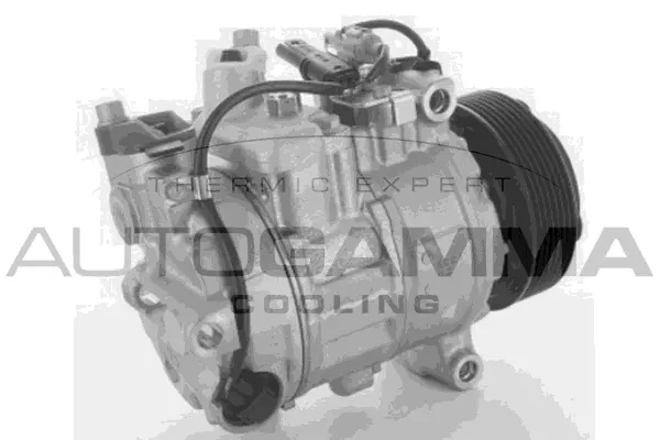 Compresseur, climatisation AUTOGAMMA 118619