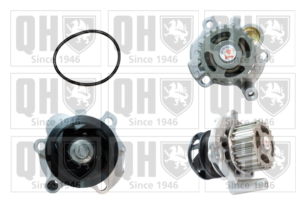 Pompe à eau, refroidissement du moteur QUINTON HAZELL QCP3306