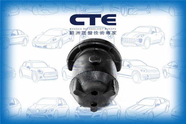 Suspension, bras de liaison CTE CBH06031