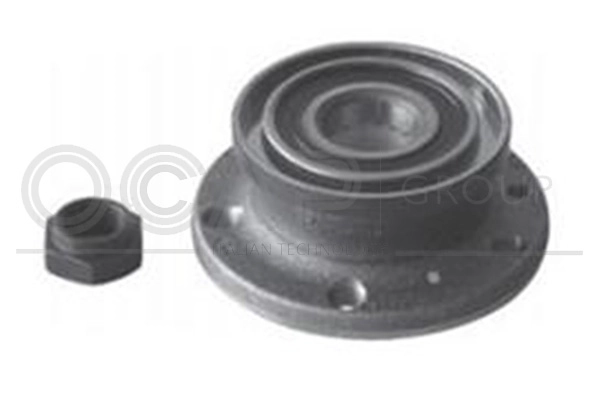 Kit de roulements de roue OCAP 6120308