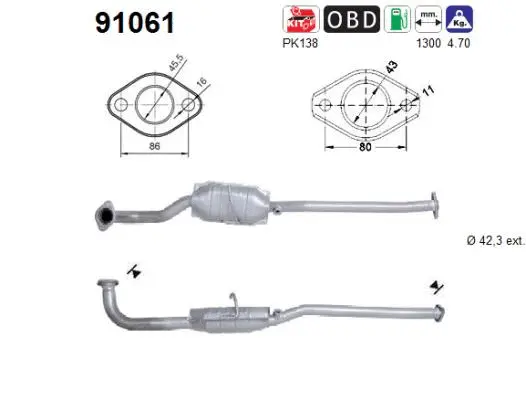 Catalyseur AS 91061