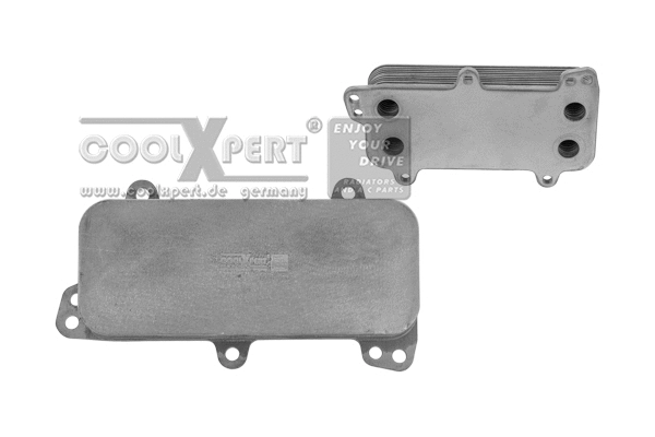 Radiateur d'huile BBR Automotive 001-10-16763