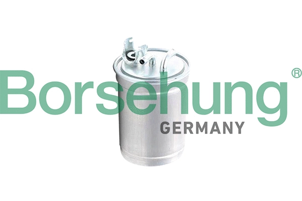 Filtre à carburant Borsehung B10477