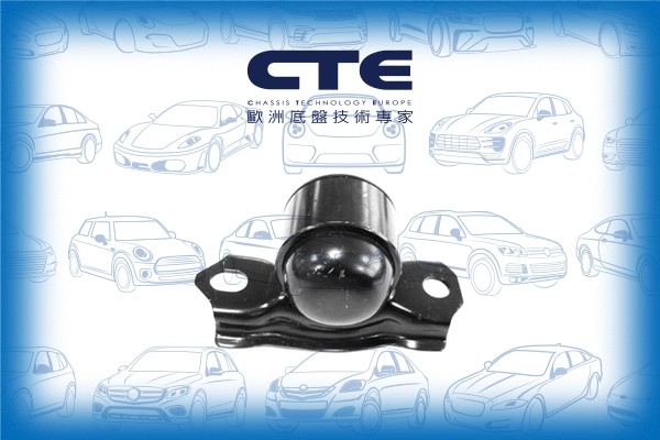 Suspension, bras de liaison CTE CBH06046R
