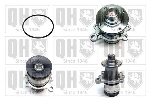 Pompe à eau, refroidissement du moteur QUINTON HAZELL QCP3067