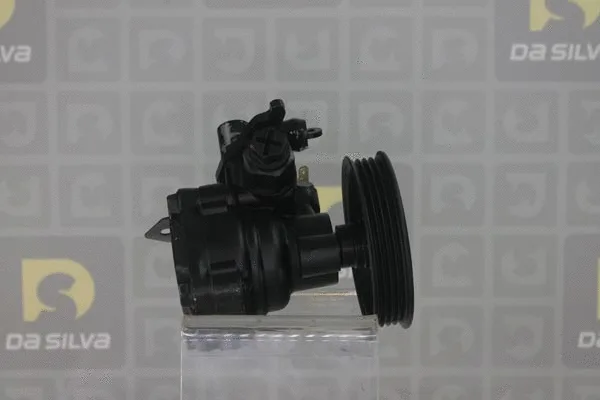 Pompe hydraulique, direction DA SILVA DP3150