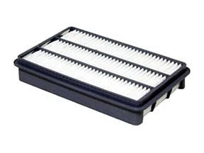 Filtre à air ACDelco Oceania ACA326