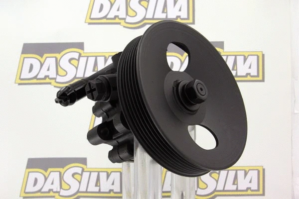 Pompe hydraulique, direction DA SILVA DP2963