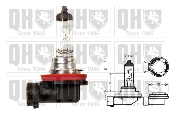 Ampoule, projecteur longue portée QUINTON HAZELL QBL708