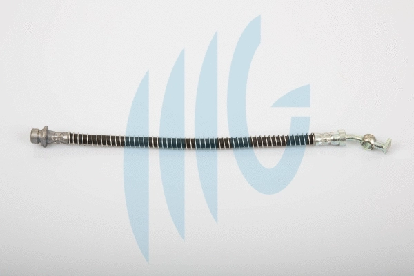 Flexible de frein RICAMBIFLEX GM 02280438